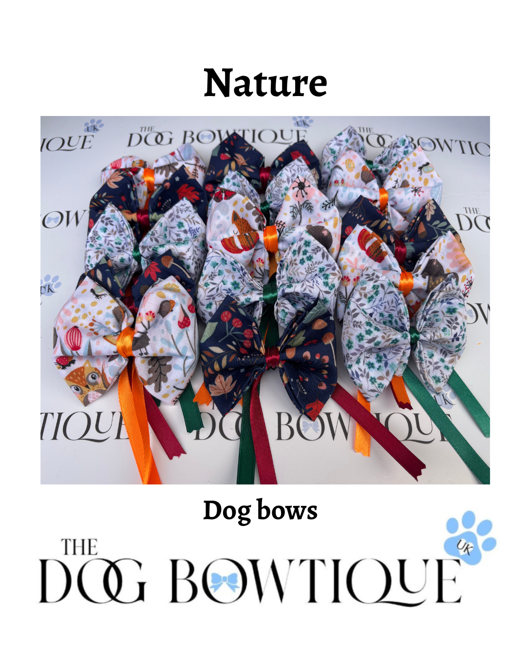 ๐ฟ Nature Bow Box ๐