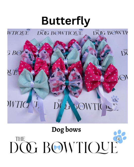 Butterfly 🦋