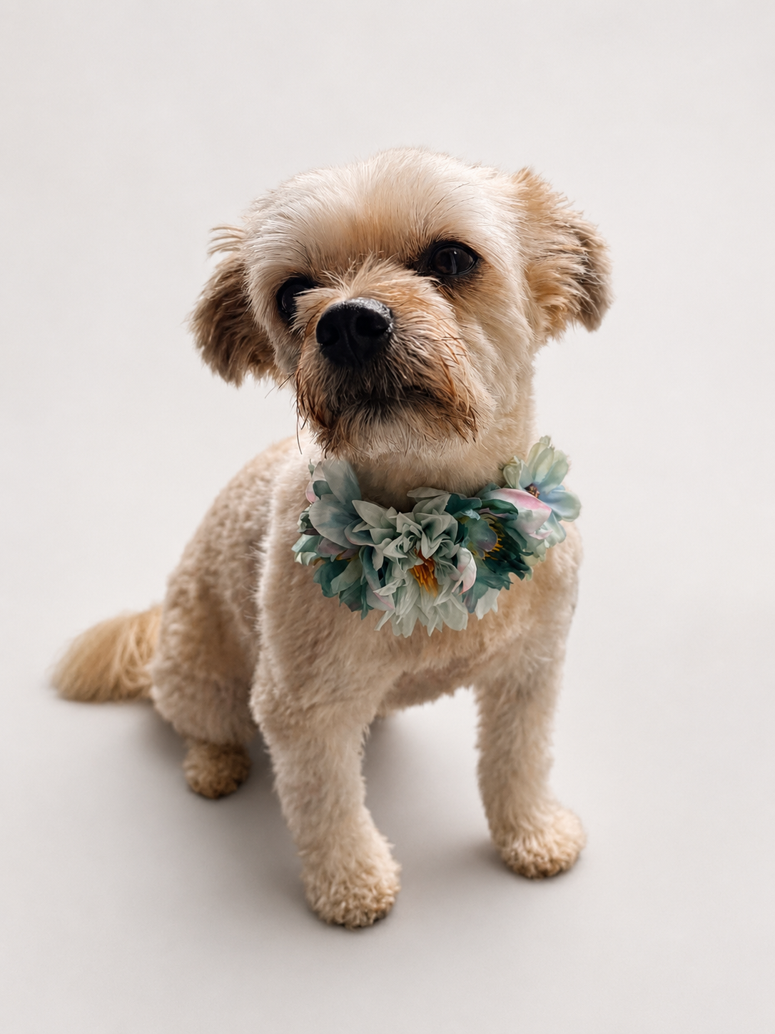 Floral collar-extra small