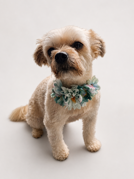 Floral collar-extra small