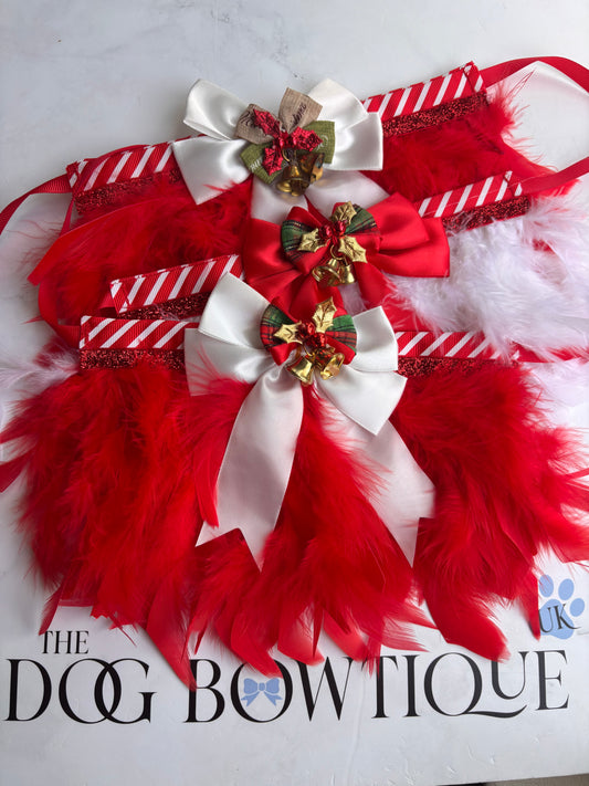 🍬 Candy Cane Feather festive bell Frill Collar🎀✨